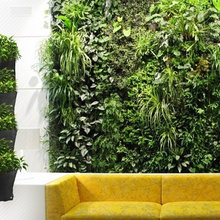 Vertical Wall Planter