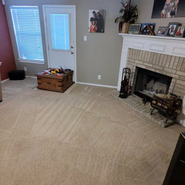 Best Carpet Cleaning Experts