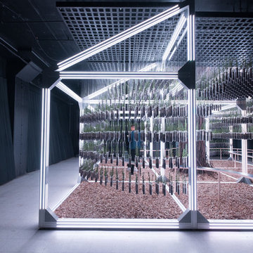 Lightframe Installation