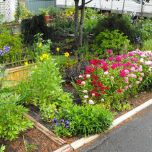 My Gardens