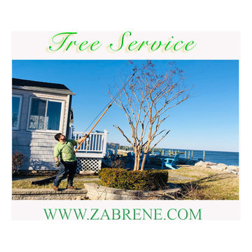 Tree Service