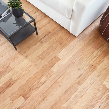 Modern, Bright Living Room - Piedmont Solid, Natural Red Oak Hardwood