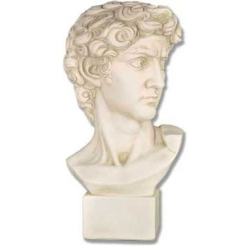 David Bust Medium 17, Greek and Roman Busts