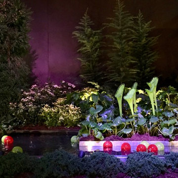 Southern Spring Home and Garden Show 2017
