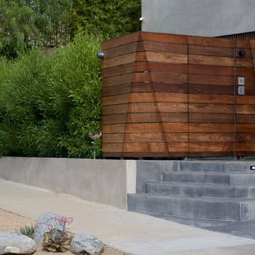 Green Dodonaea Hopseed Privacy Screen
