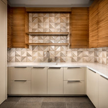 Pantry/Back Kitchen Spaces