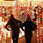 Brittany VanMaele's photo