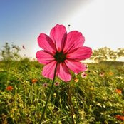 Birgit Schreiber-Lausmann's photo