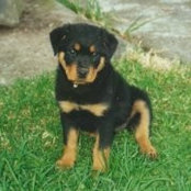 Foto von Lilly Mae
