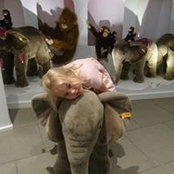 Dirk Kersting's photo