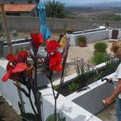 Paula Paro's photo