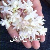 Foto von shahenda_aly