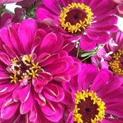 Roberta Ratterree's photo