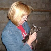 Kjestine Evans's photo