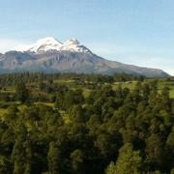 Manuel Cossio's photo