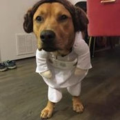 Hannah Cooper's photo