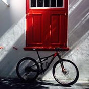 Vanessa Lynch's photo