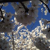 Brad Noble's photo