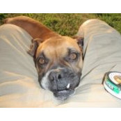 Ron Miller's photo