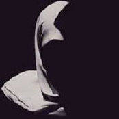 Happy El Khateb's photo