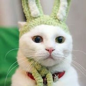 Susan Setera's photo