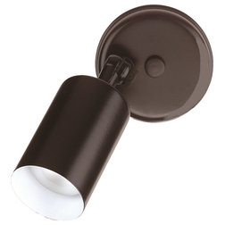 Transitional Outdoor Flood And Spot Lights by NICOR Lighting
