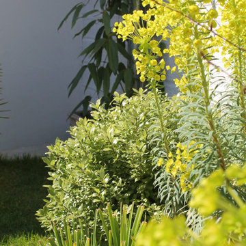 Jardin Colombiens Méditerranéen (Colombes - 92)