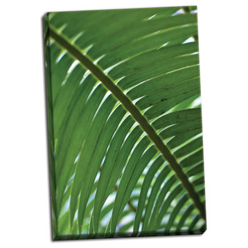 Fine Art Photograph, Leaf Detail VI, Hand-Stretched Canvas
