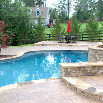 Freeform Gunite Pool in Powder Springs, Georgia