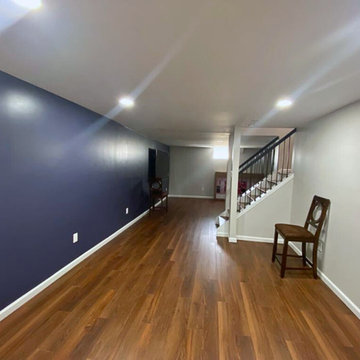Full Basement Renovation