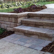 Backyard Ideas