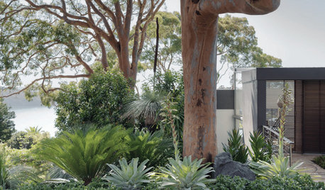 Second Life: The Plant Overhaul That Changed Up a Suburban Garden