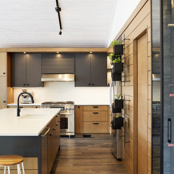 Mountain Modern