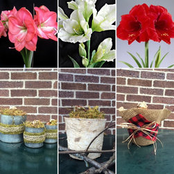 Seasonal Decorations - Indoor Pots And Planters