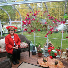 Greenhouse