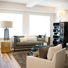Living Room Ideas