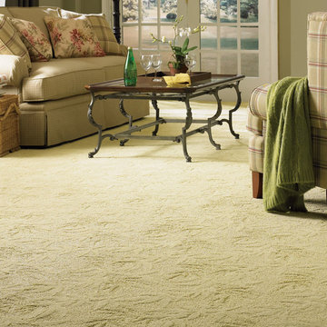 Captivating Carpet