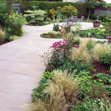 Lush back garden planting