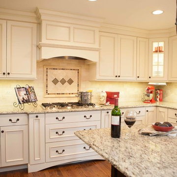 Italian Contemporary Kitchen in Hoffman Estates