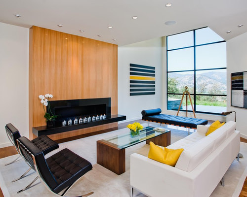 Fireplace Feature Wall | Houzz