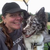 Tracy McCarty's photo