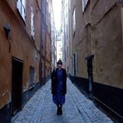Laurel Harple's photo