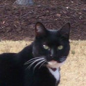 JoAnn Miller's photo