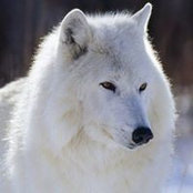 Jane Huston's photo