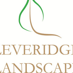 Leveridge Inc