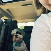 Christi Kempf's photo