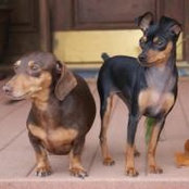 Audrey Parker Steiner's photo
