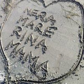 Sanja Bogunović's photo