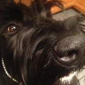 Jesse Lucks's photo
