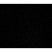 Niels Tonsen's photo